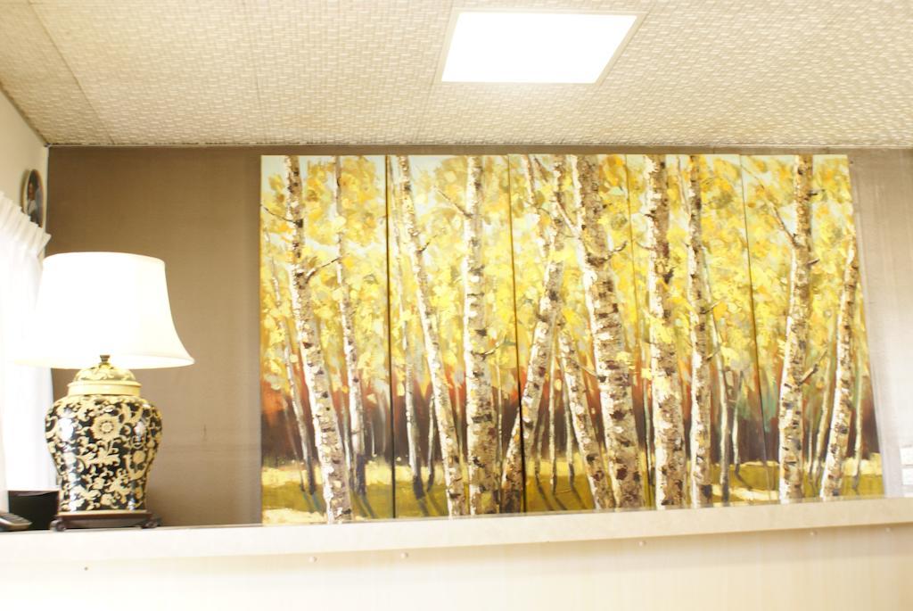 Country Lodge Motor Inn Bathurst Kültér fotó